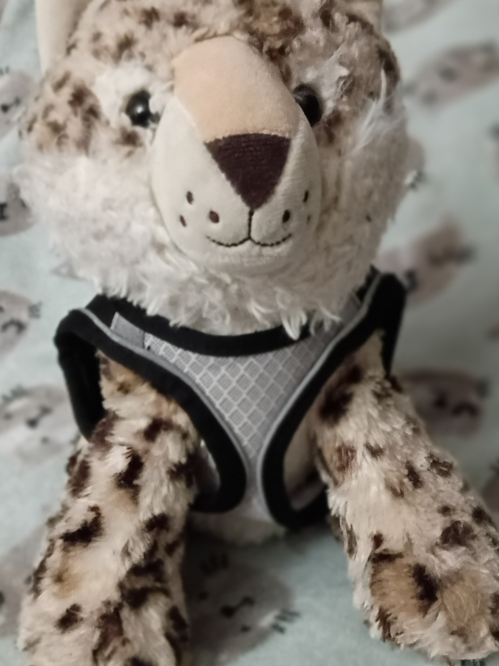 Boots & Barkley Gray and Black Reflective Dog Harness